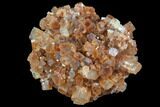 Aragonite Twinned Crystal Cluster - Morocco #87793-1